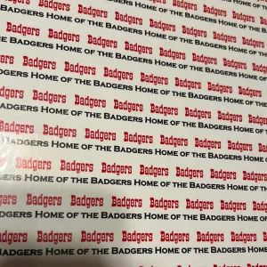 Home of the badgers paper by scrapbook customs  today